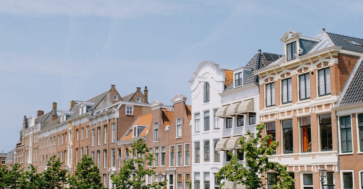 Celebrating the Dutch Cheese Market: A Tradition in Haarlem