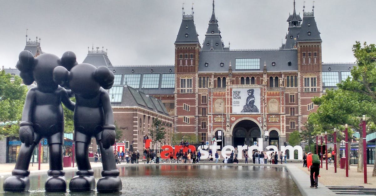 Choosing the Right Study Guide for Exam Preparation in Dutch