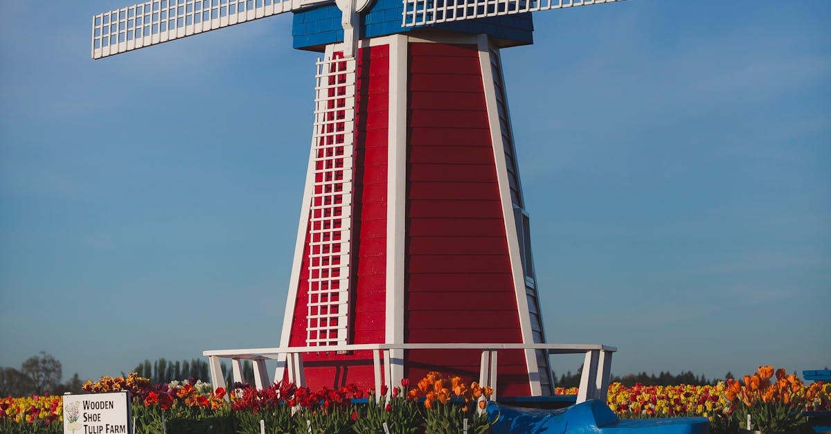 Common Mistakes in Dutch Grammar and How to Avoid Them
