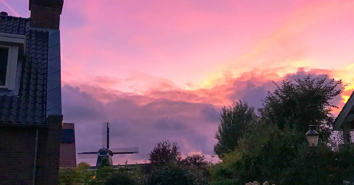 Discovering Haarlem’s Best Bakeries and Pastry Shops