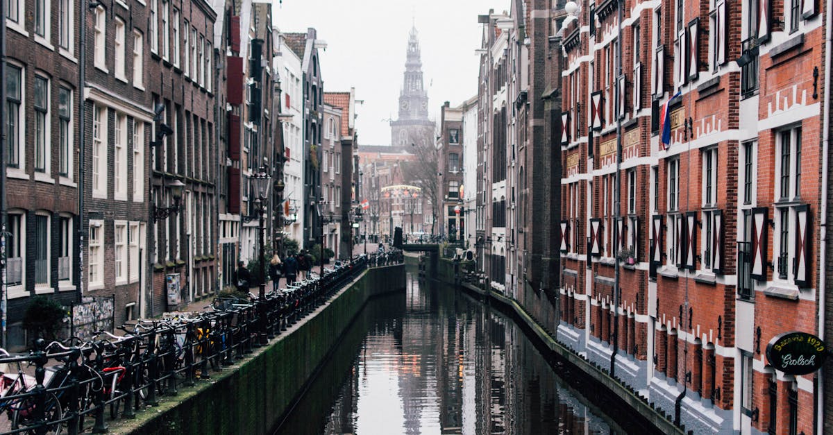 How Dutch Windmills Reflect National Identity