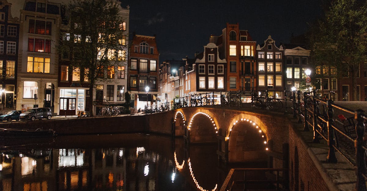 How to Utilize Online Resources for Dutch Language Mastery