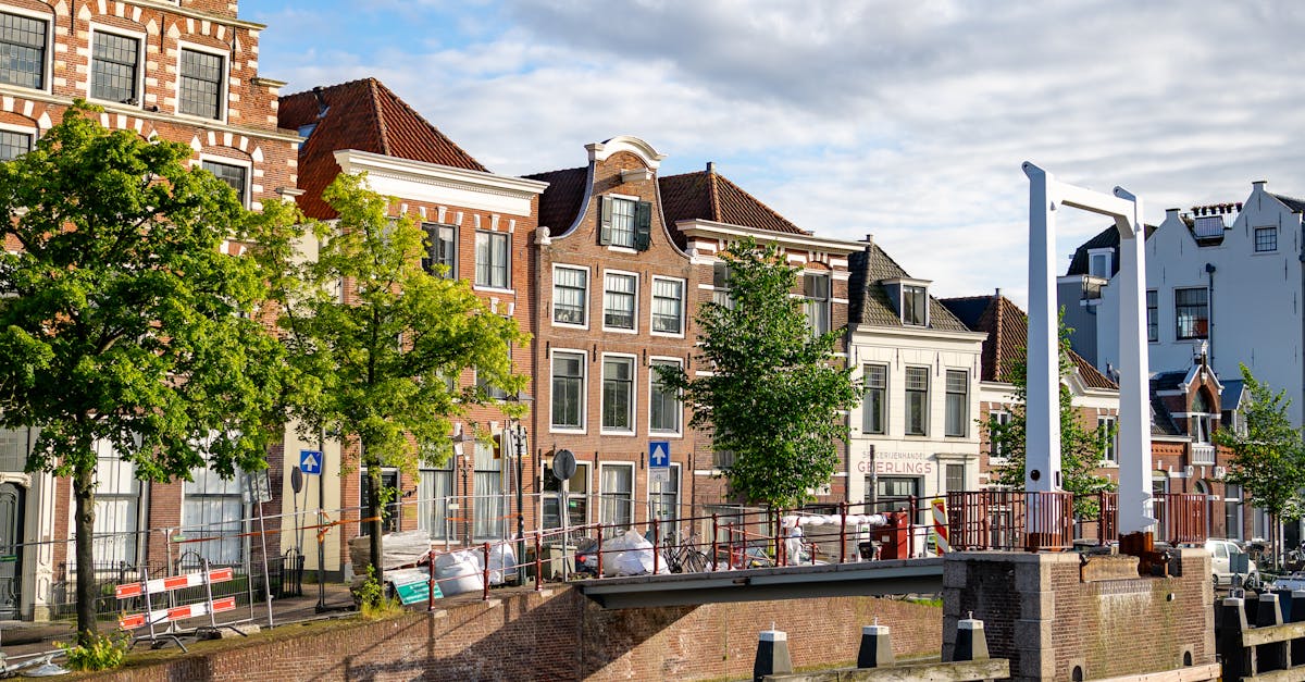 Immersion Experiences: Haarlem's Best Dutch Language Schools