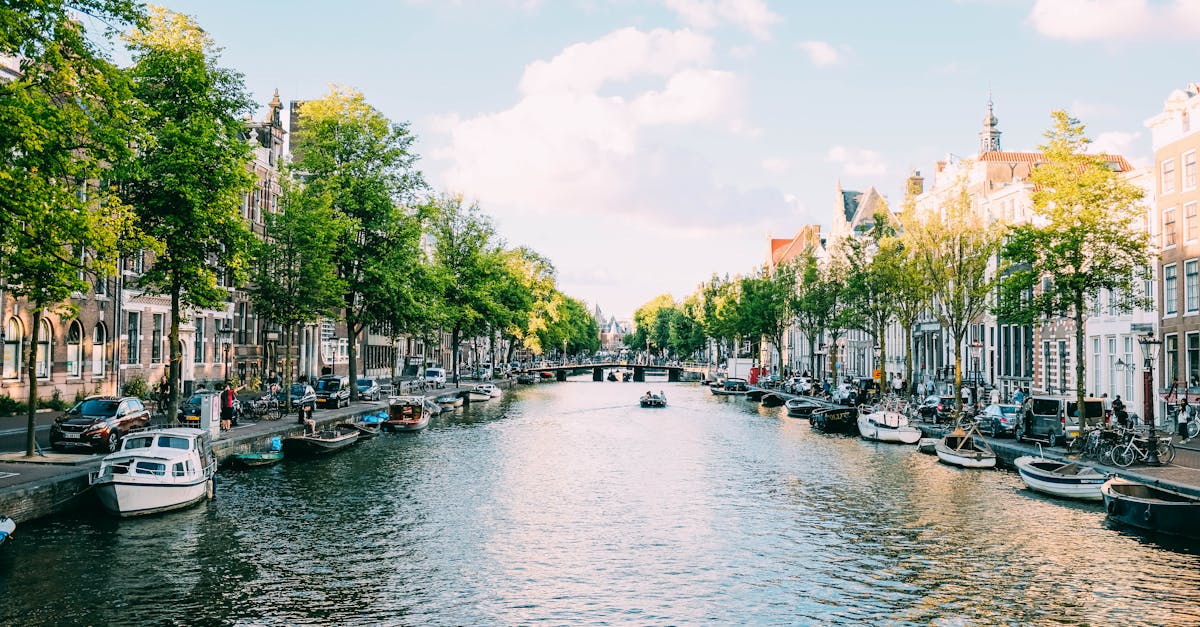 The Art of Dutch Decorating: Traditional Styles and Their Meanings