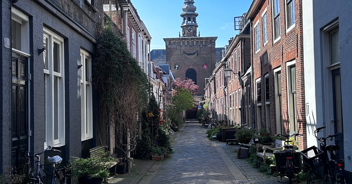 Top Online Platforms for Learning Dutch Effectively
